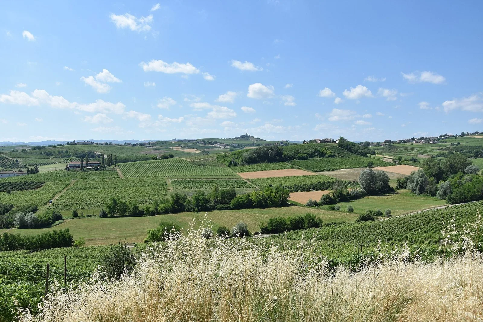 Colline coperte di vigneti e campi a Montegrosso d'Asti, nel Monferrato astigiano, sotto un cielo con nuvole leggere