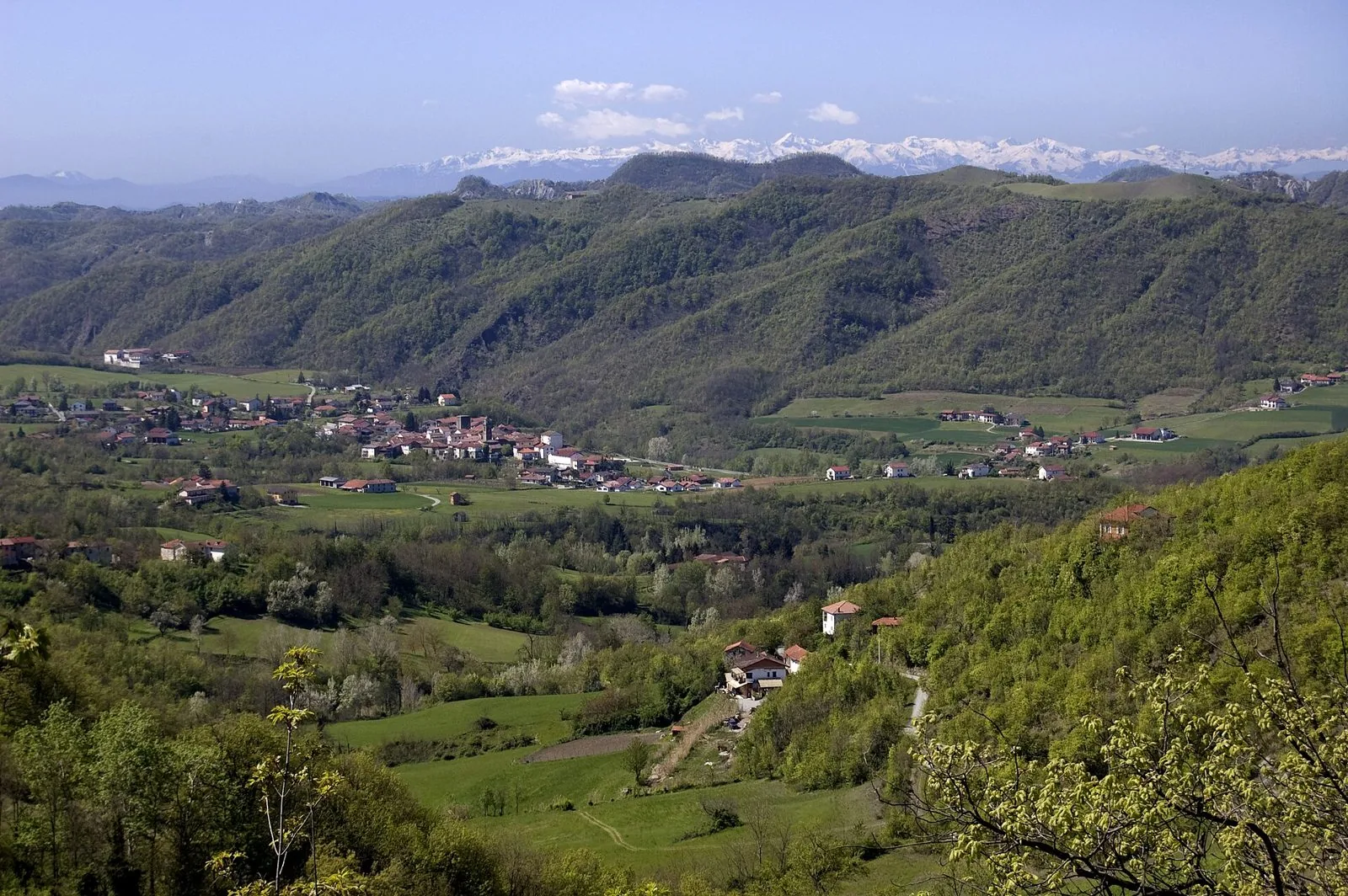 Colline verdi e boschi dell'Alto Monferrato in primavera, con un paese nella valle e le Alpi innevate all'orizzonte