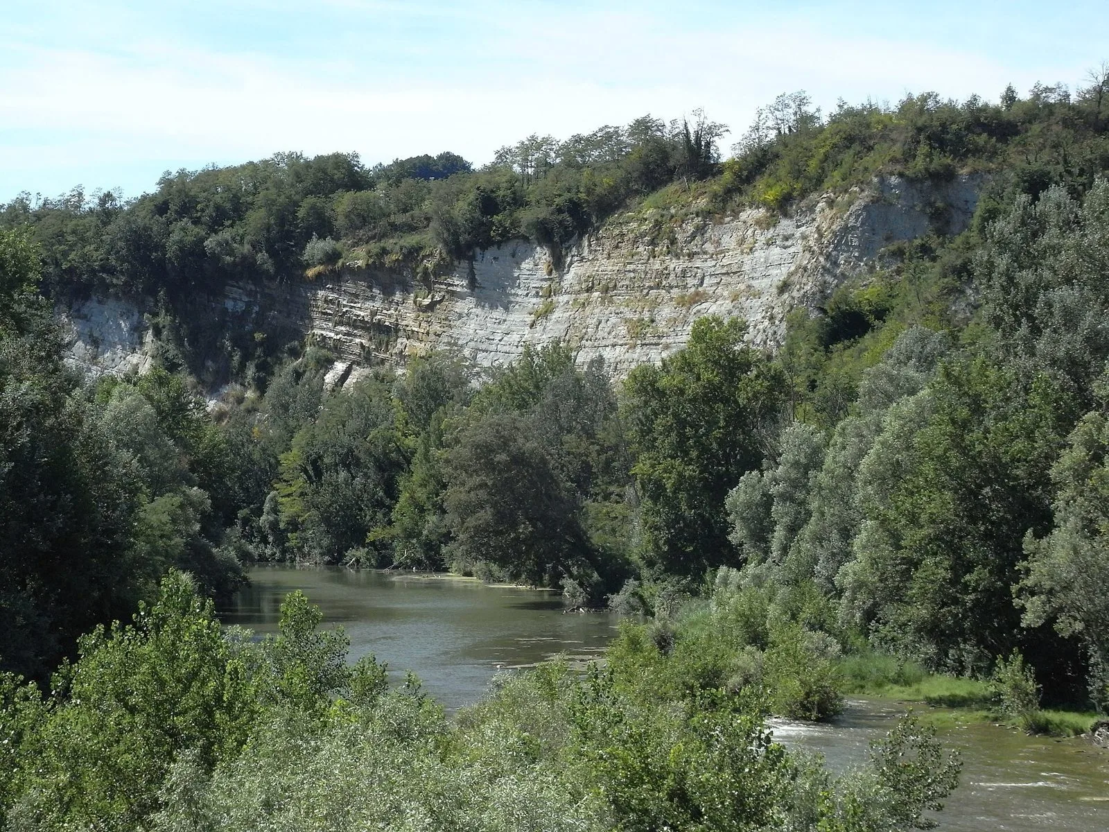 Il fiume Bormida a Terzo, tra boschi ripariali verdi e una parete di roccia stratificata